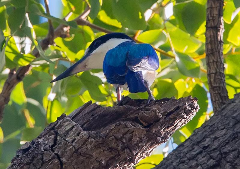 post-4761-0-48676800-1469437034_thumb.jp