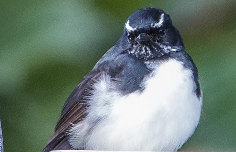 post-4761-0-86596700-1469008823_thumb.jp