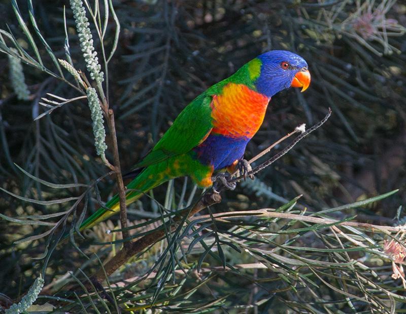 post-4761-0-93268300-1469437114_thumb.jp