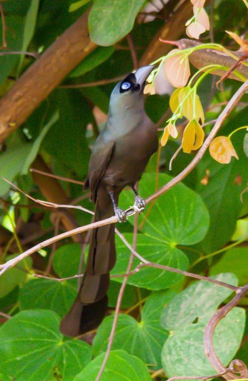 post-59731-0-68697100-1468240973_thumb.j