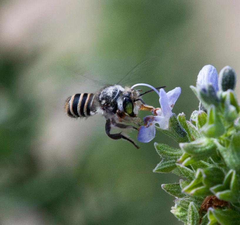 post-61254-0-19888900-1468490305_thumb.j