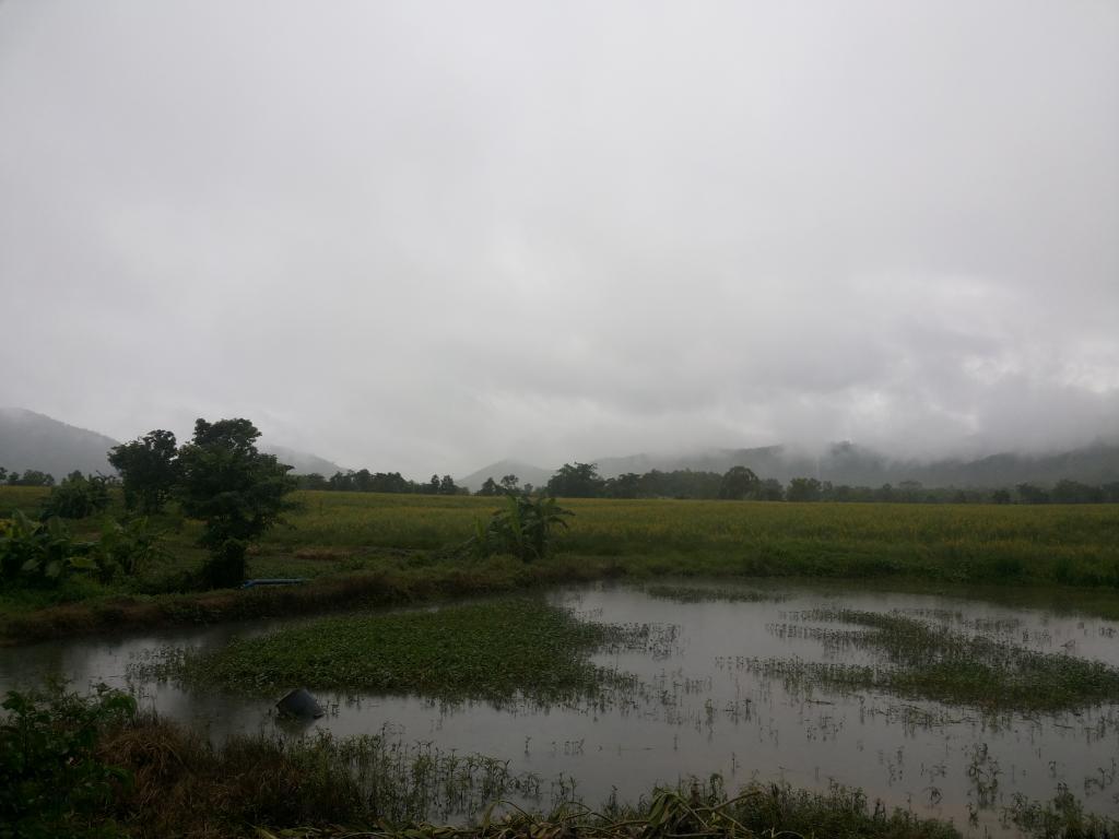 post-68260-0-17803100-1467793050_thumb.j