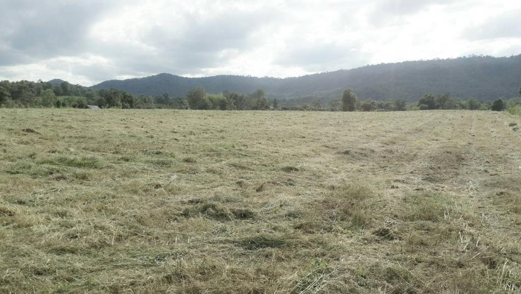 post-68260-0-24052000-1468587727_thumb.j