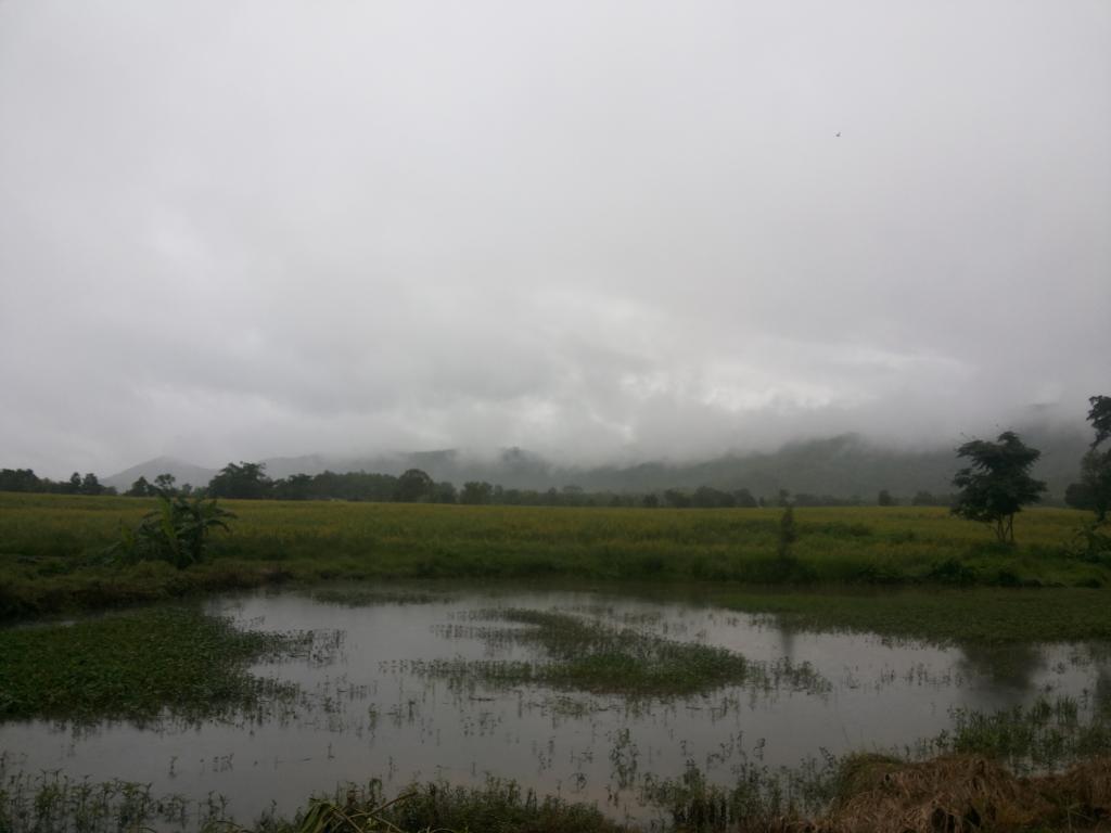 post-68260-0-30210700-1467792799_thumb.j