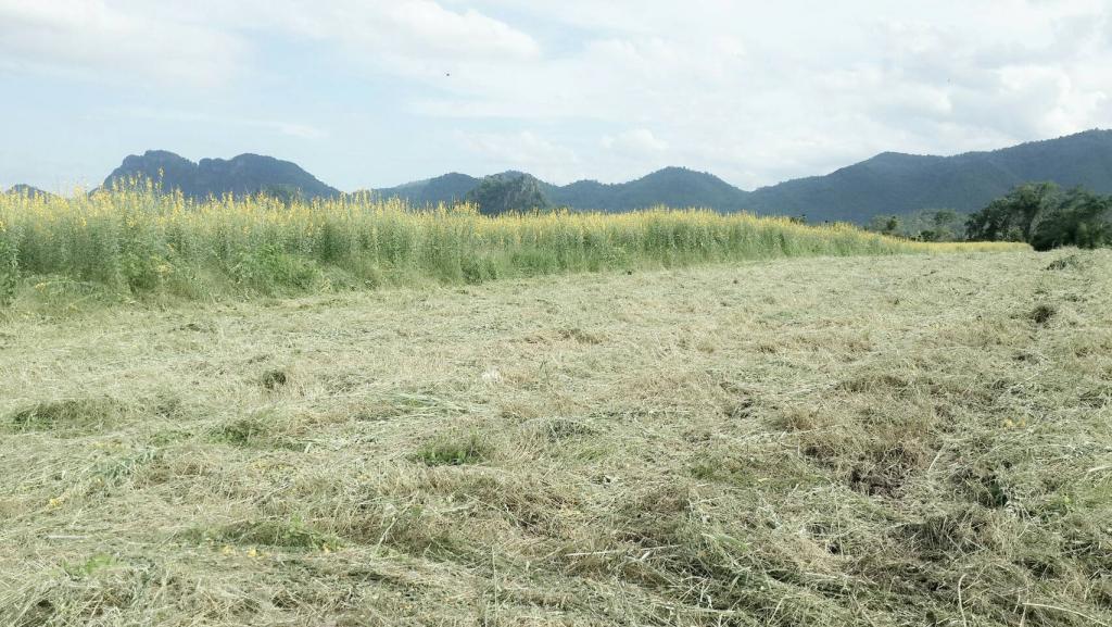 post-68260-0-56390900-1468587698_thumb.j