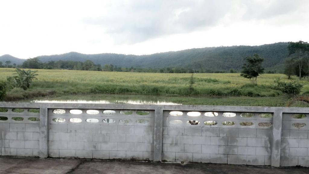 post-68260-0-69847900-1467985197_thumb.j