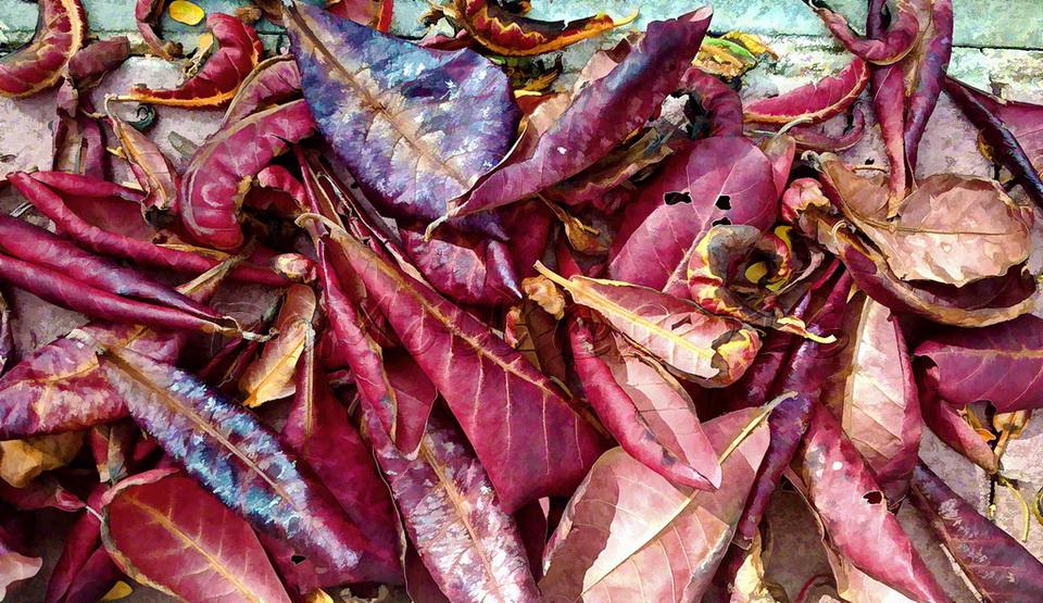 post-7084-0-87605300-1468951189_thumb.jp