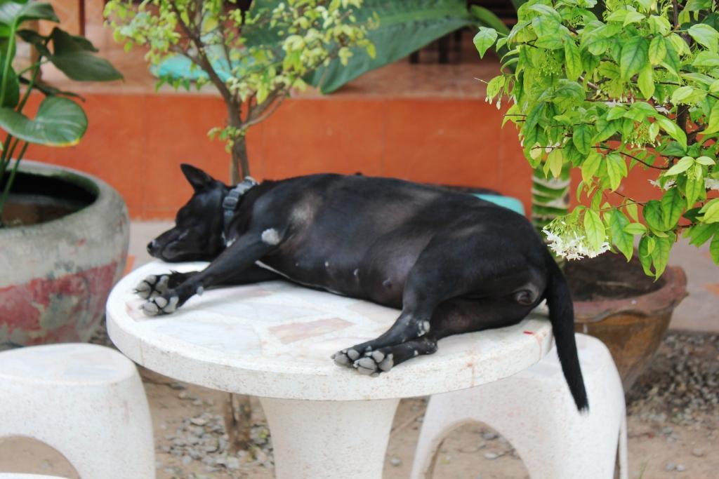 post-77511-0-12886700-1469448965_thumb.j