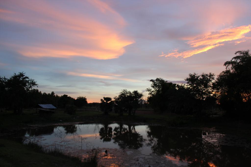 post-77511-0-15479100-1469449653_thumb.j