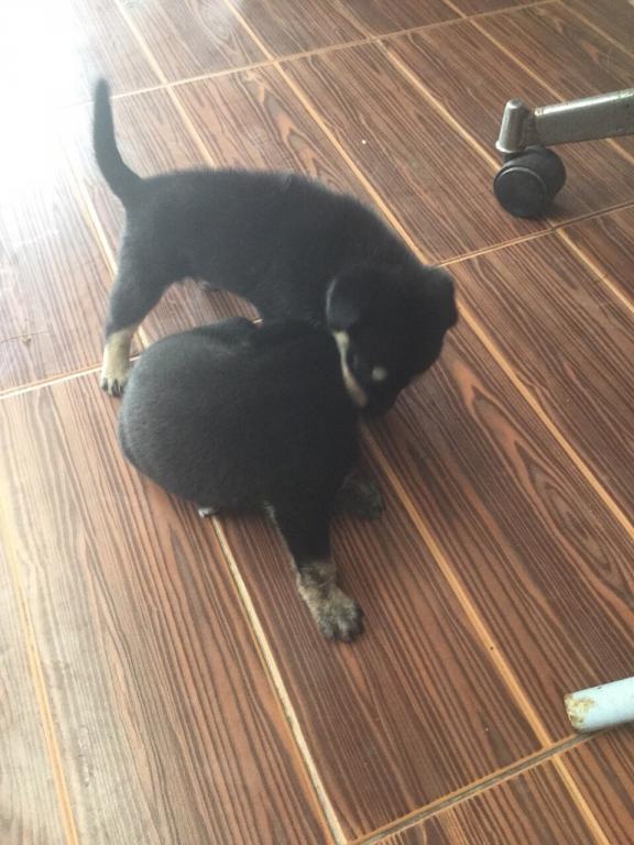 post-77511-0-17551800-1467512167_thumb.j