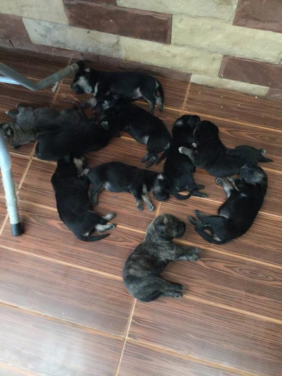 post-77511-0-18672100-1467512104_thumb.j