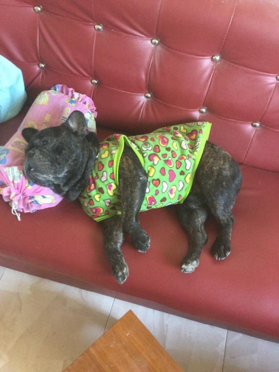 post-77511-0-25121200-1467614138_thumb.j