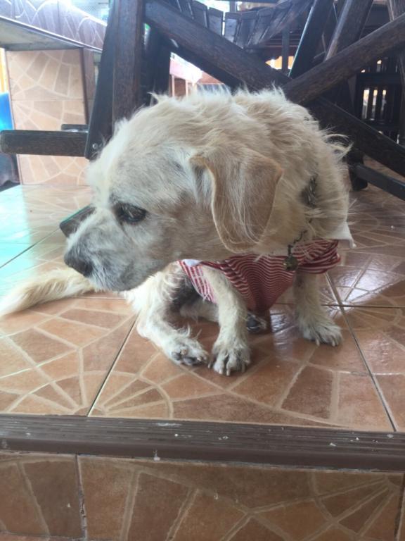 post-77511-0-25922500-1468386672_thumb.j