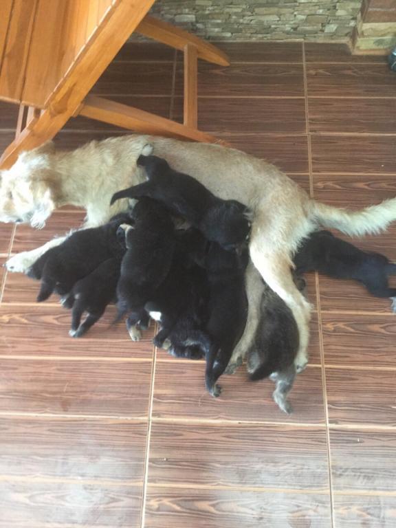 post-77511-0-31381700-1467511908_thumb.j