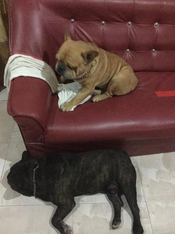 post-77511-0-31850900-1469325616_thumb.j