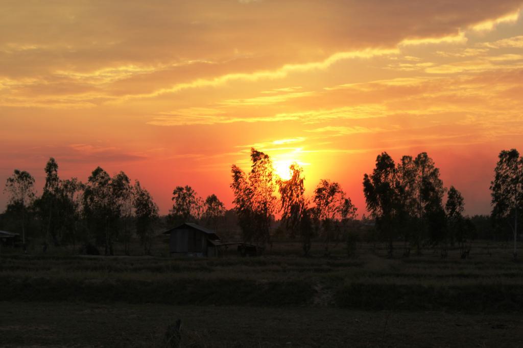 post-77511-0-32684600-1469449734_thumb.j