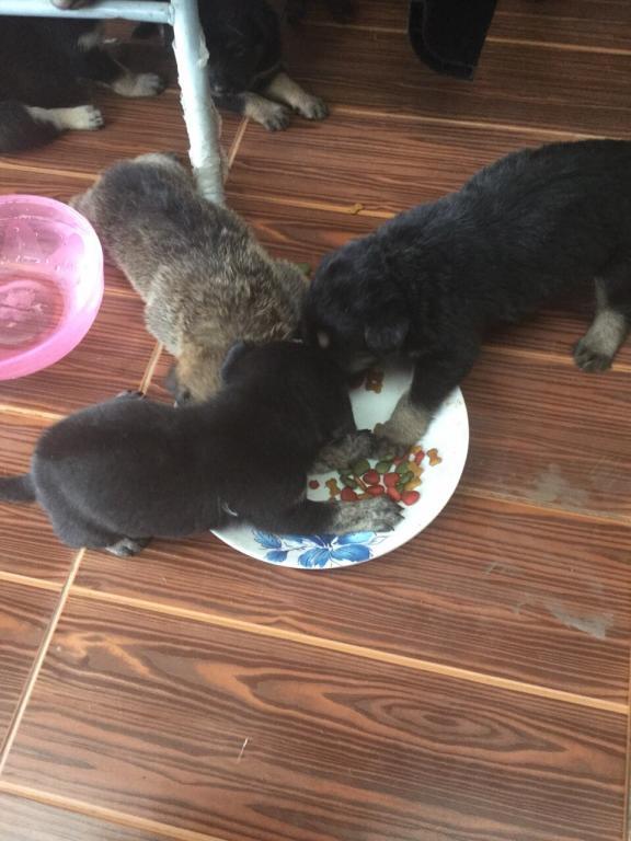 post-77511-0-36491800-1467511968_thumb.j