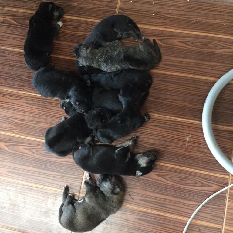 post-77511-0-37243000-1467512053_thumb.j