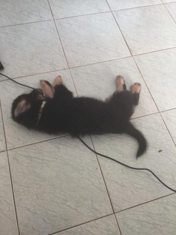 post-77511-0-38581200-1467512211_thumb.j