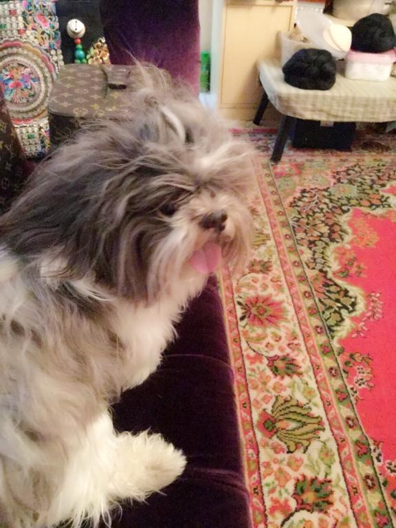 post-77511-0-45826800-1468033540_thumb.j