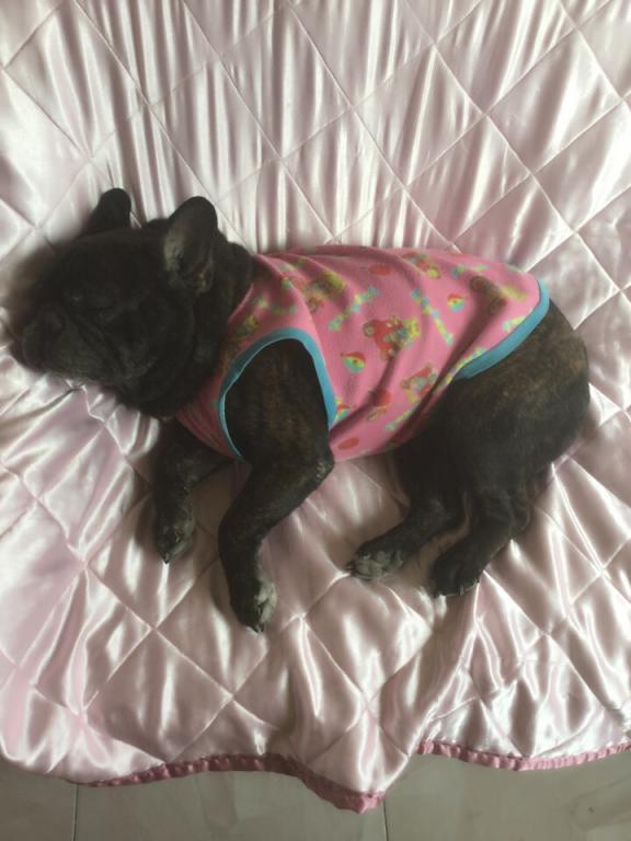 post-77511-0-48074700-1467614112_thumb.j