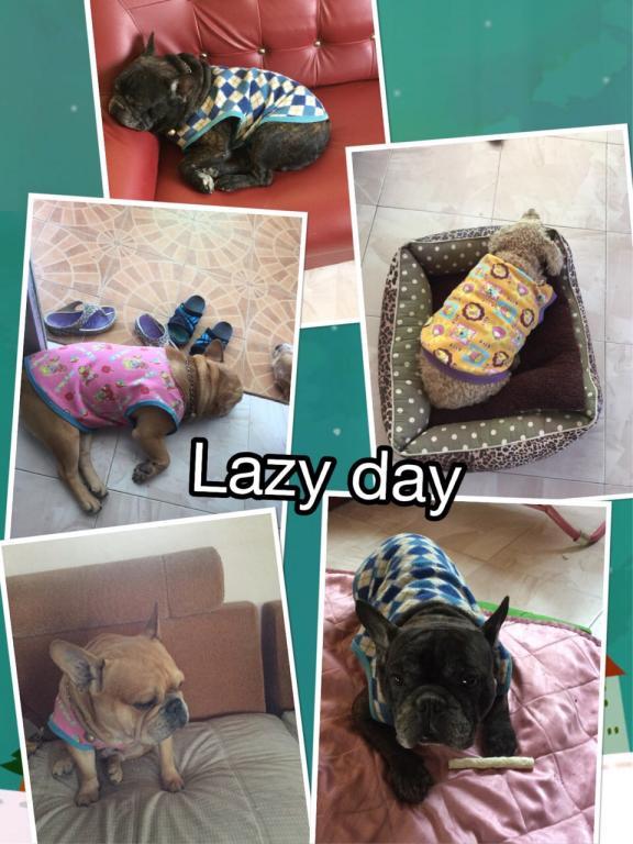 post-77511-0-48179100-1467516904_thumb.j