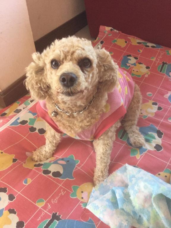 post-77511-0-48418100-1467554654_thumb.j