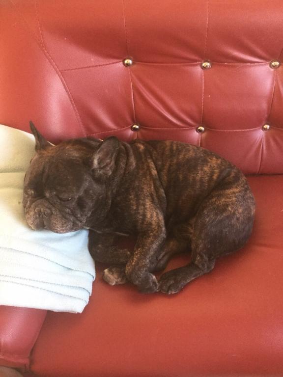 post-77511-0-49859400-1467614093_thumb.j