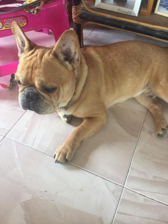 post-77511-0-53921600-1468386363_thumb.j