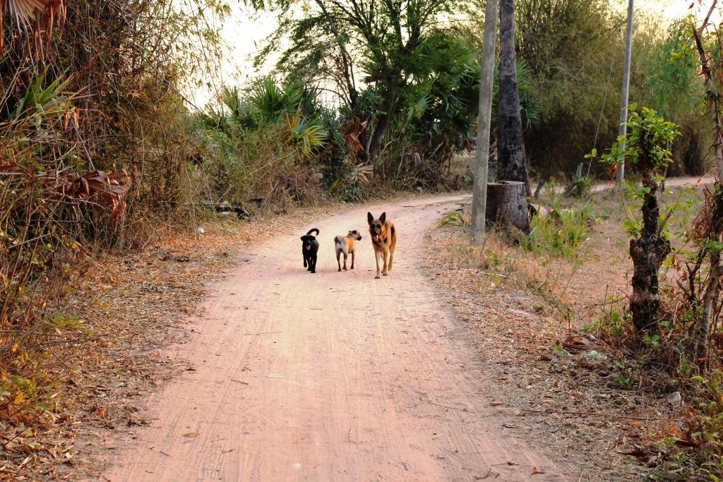 post-77511-0-70929300-1469449071_thumb.j