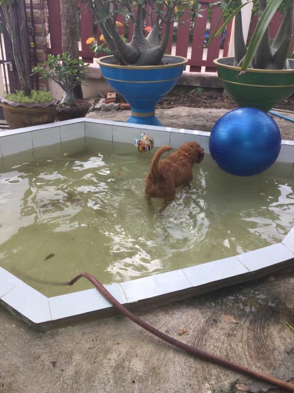 post-77511-0-72441200-1469082047_thumb.j