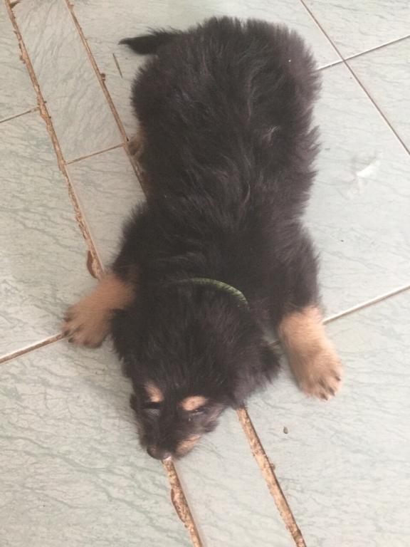 post-77511-0-94284100-1467512235_thumb.j