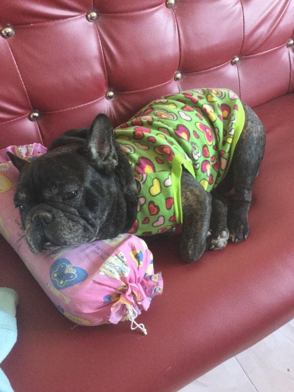 post-77511-0-95643600-1467614076_thumb.j