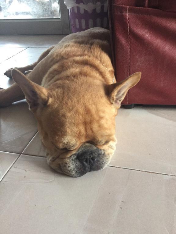 post-77511-0-98560600-1469331597_thumb.j