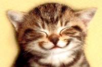 post-15912-1187526564_thumb.jpg