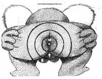 post-42103-1187668331_thumb.jpg