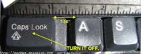 post-12195-1217746559_thumb.jpg