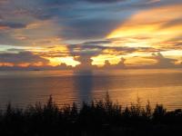 post-1585-1219569691_thumb.jpg