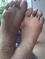 post-4408-1249740701_thumb.jpg