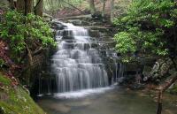 post-13265-034280900 1283208502_thumb.jp