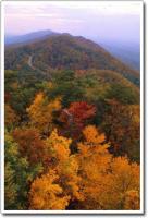 post-13265-068426700 1283208485_thumb.jp