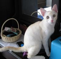 post-13265-075807100 1281637436_thumb.jp