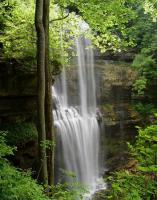 post-13265-081439800 1283208513_thumb.jp