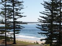 post-23920-025081600 1281323128_thumb.jp