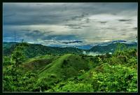 post-29230-001523200 1280722372_thumb.jp