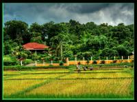 post-29230-018032400 1280847929_thumb.jp