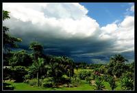 post-29230-057706700 1281013059_thumb.jp