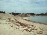 post-56008-051751100 1281140950_thumb.jp