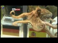 post-6925-027632800 1282525879_thumb.jpg