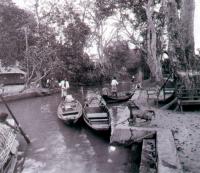 post-69759-005103100 1280928559_thumb.jp